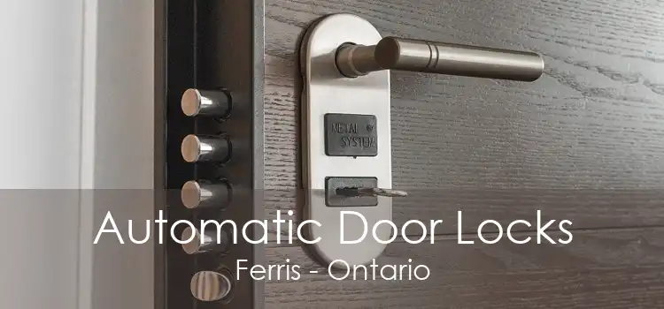 Automatic Door Locks Ferris - Ontario