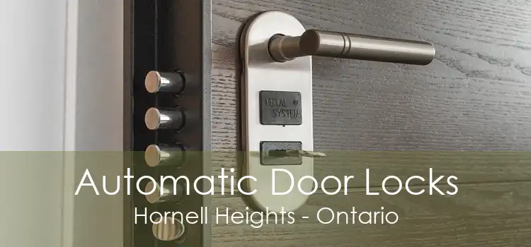 Automatic Door Locks Hornell Heights - Ontario