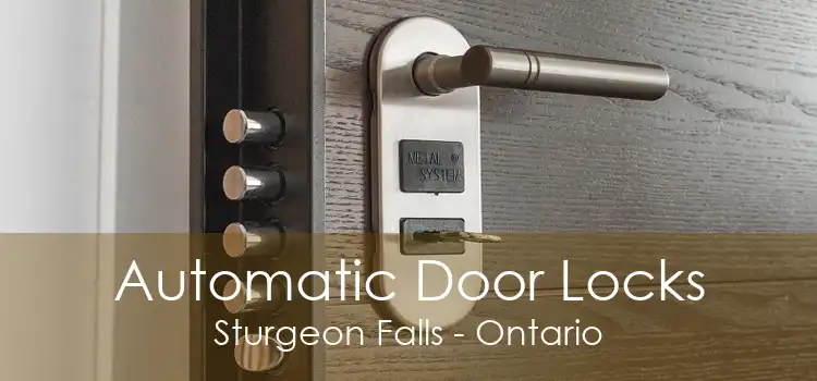 Automatic Door Locks Sturgeon Falls - Ontario