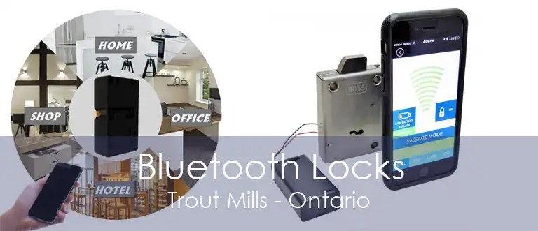Bluetooth Locks Trout Mills - Ontario
