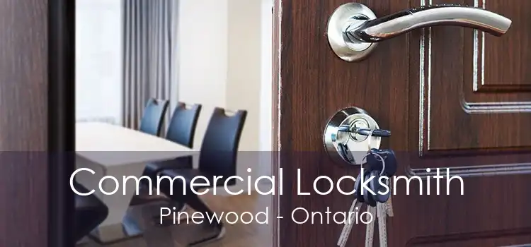 Commercial Locksmith Pinewood - Ontario