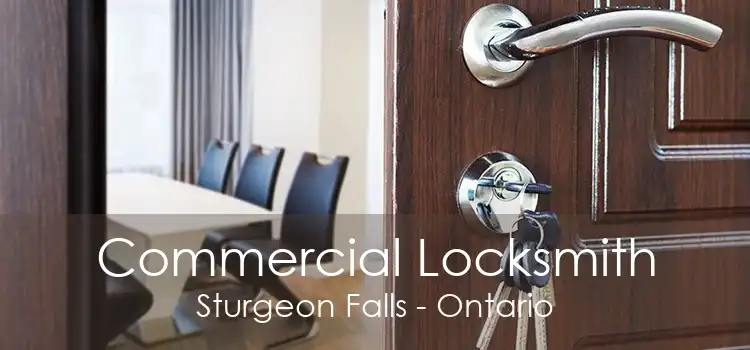 Commercial Locksmith Sturgeon Falls - Ontario