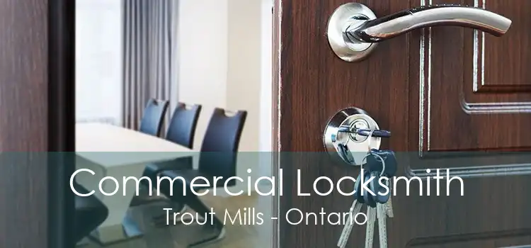 Commercial Locksmith Trout Mills - Ontario