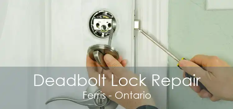 Deadbolt Lock Repair Ferris - Ontario