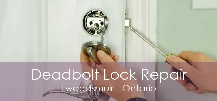Deadbolt Lock Repair Tweedsmuir - Ontario