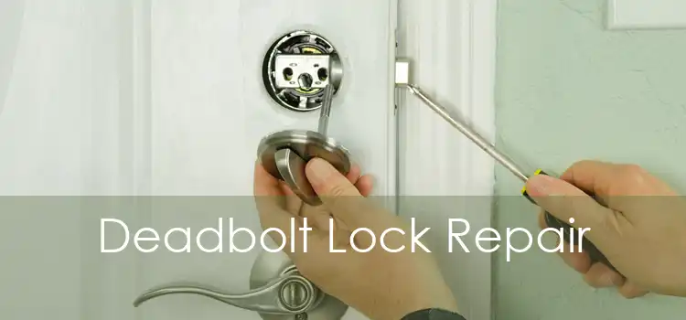 Deadbolt Lock Repair 