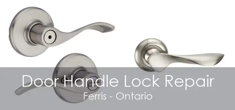 Door Handle Lock Repair Ferris - Ontario