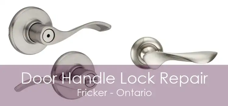 Door Handle Lock Repair Fricker - Ontario