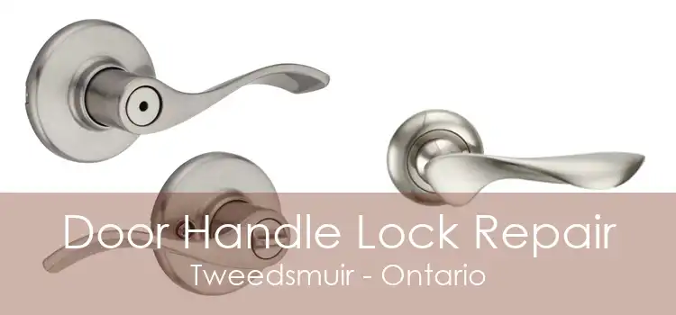 Door Handle Lock Repair Tweedsmuir - Ontario