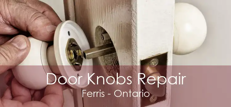 Door Knobs Repair Ferris - Ontario
