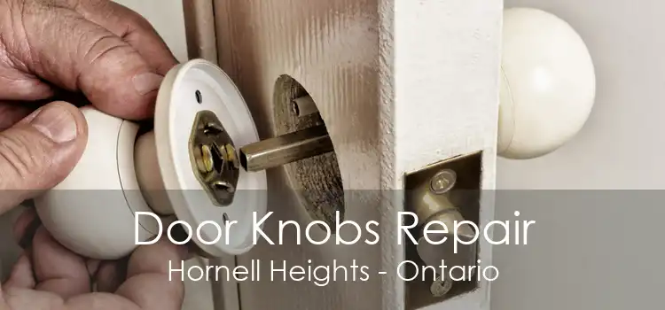 Door Knobs Repair Hornell Heights - Ontario