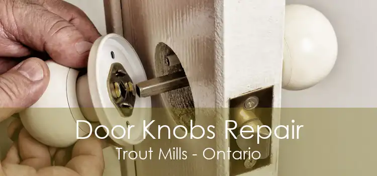 Door Knobs Repair Trout Mills - Ontario