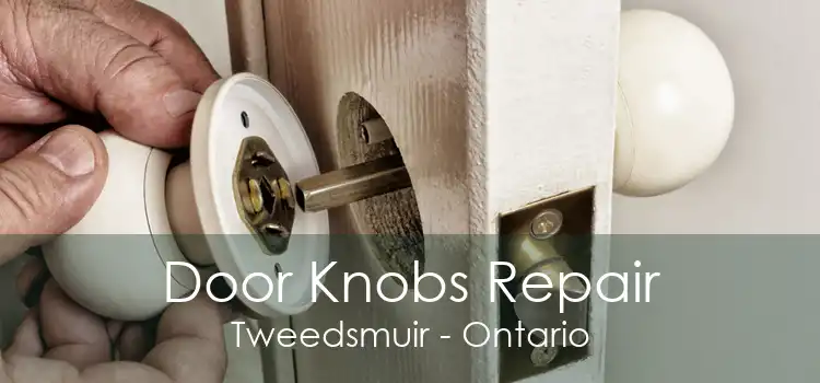 Door Knobs Repair Tweedsmuir - Ontario