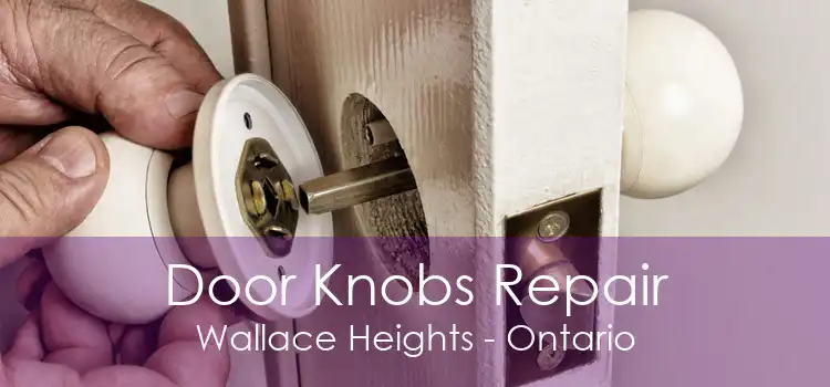 Door Knobs Repair Wallace Heights - Ontario