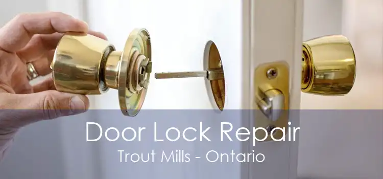 Door Lock Repair Trout Mills - Ontario