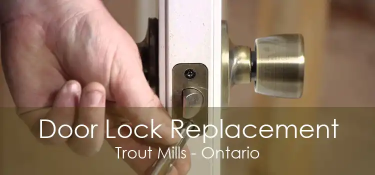 Door Lock Replacement Trout Mills - Ontario