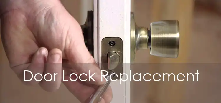 Door Lock Replacement 