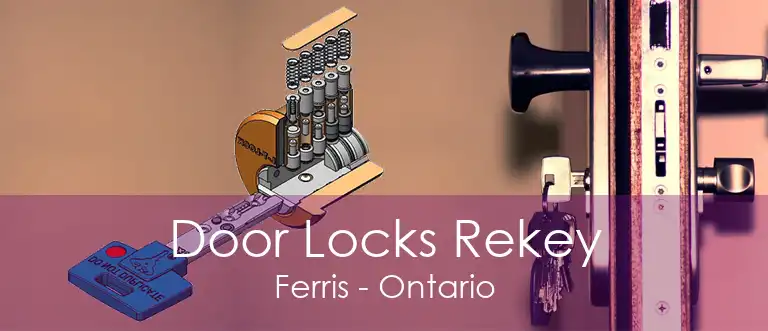 Door Locks Rekey Ferris - Ontario