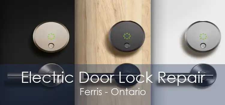 Electric Door Lock Repair Ferris - Ontario
