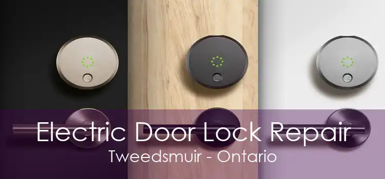 Electric Door Lock Repair Tweedsmuir - Ontario