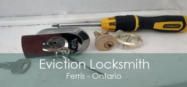 Eviction Locksmith Ferris - Ontario