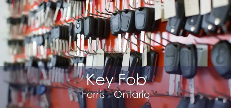Key Fob Ferris - Ontario