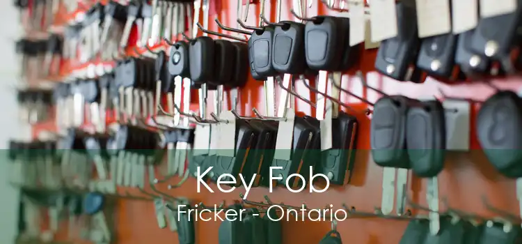 Key Fob Fricker - Ontario