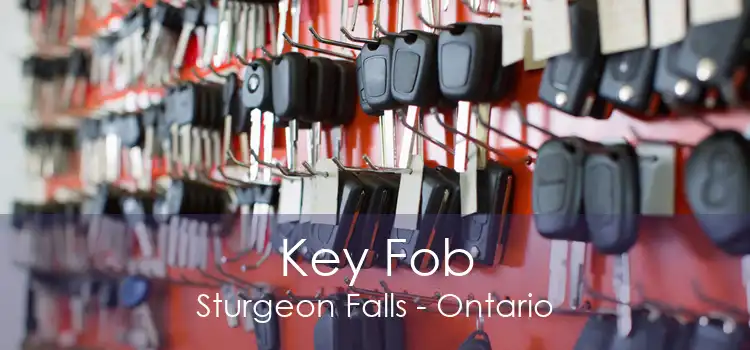Key Fob Sturgeon Falls - Ontario