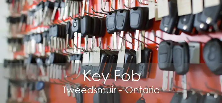 Key Fob Tweedsmuir - Ontario