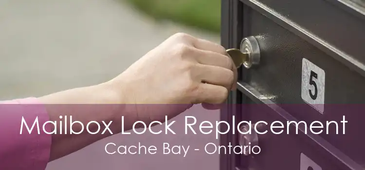 Mailbox Lock Replacement Cache Bay - Ontario