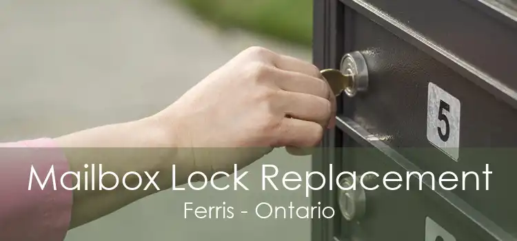 Mailbox Lock Replacement Ferris - Ontario