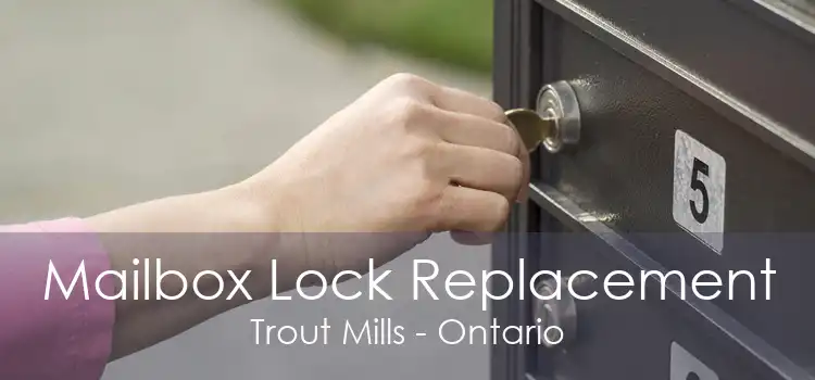 Mailbox Lock Replacement Trout Mills - Ontario