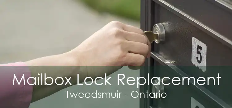 Mailbox Lock Replacement Tweedsmuir - Ontario