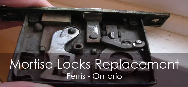 Mortise Locks Replacement Ferris - Ontario