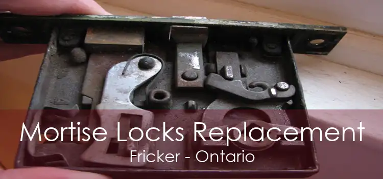 Mortise Locks Replacement Fricker - Ontario