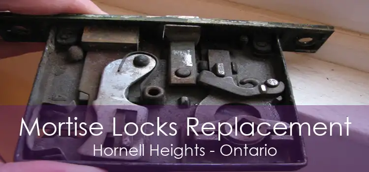 Mortise Locks Replacement Hornell Heights - Ontario