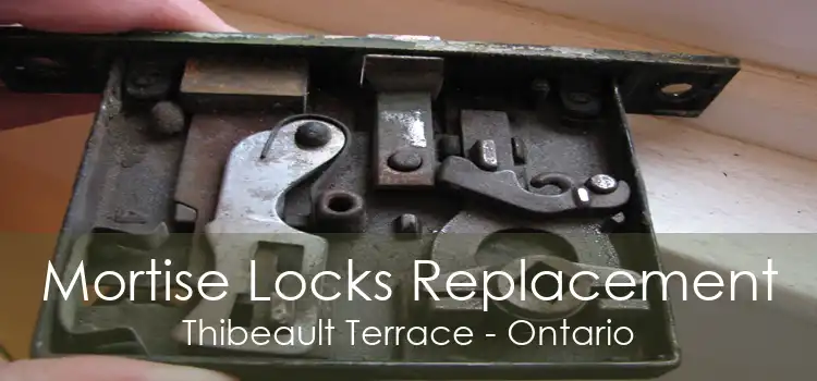 Mortise Locks Replacement Thibeault Terrace - Ontario