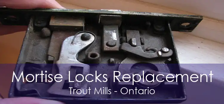 Mortise Locks Replacement Trout Mills - Ontario