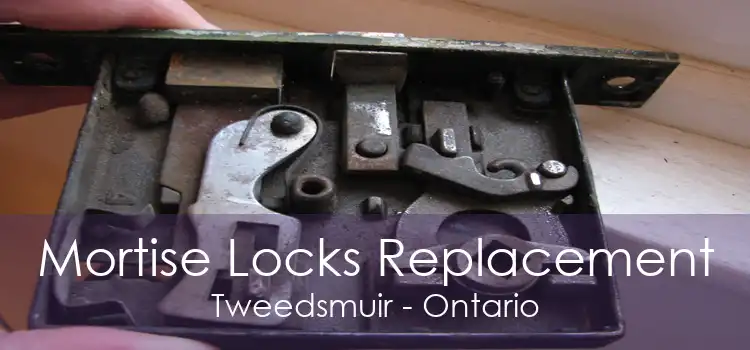 Mortise Locks Replacement Tweedsmuir - Ontario