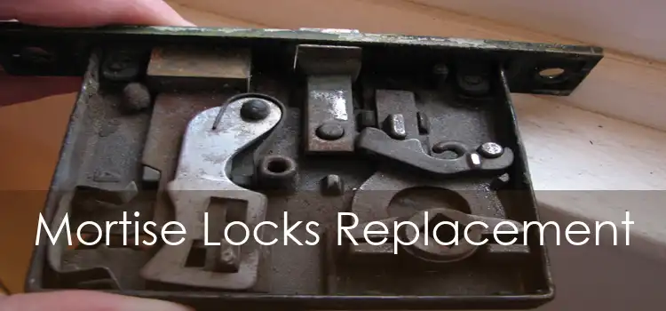 Mortise Locks Replacement 