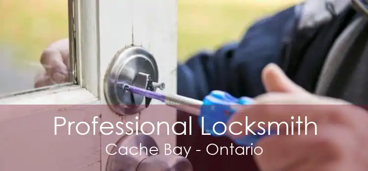 Professional Locksmith Cache Bay - Ontario