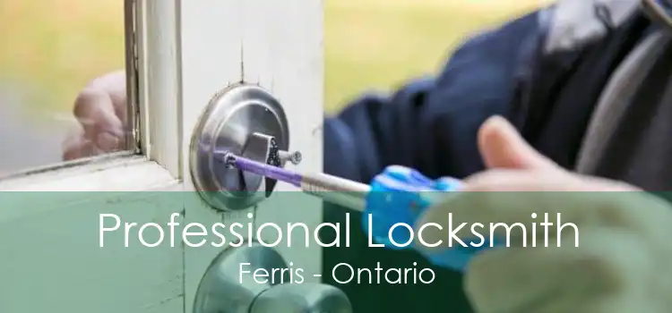 Professional Locksmith Ferris - Ontario