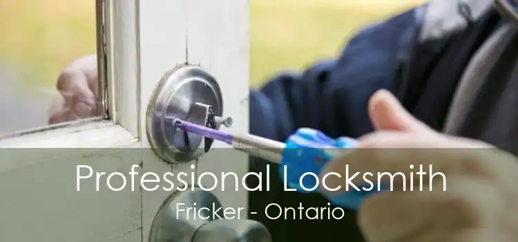 Professional Locksmith Fricker - Ontario