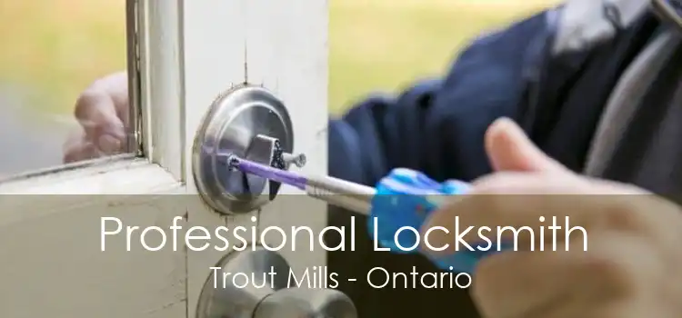 Professional Locksmith Trout Mills - Ontario