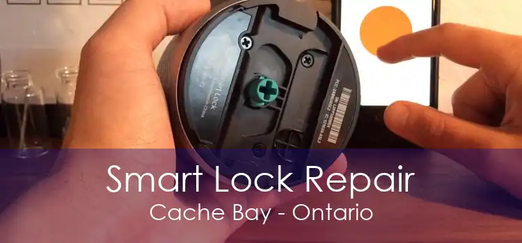 Smart Lock Repair Cache Bay - Ontario