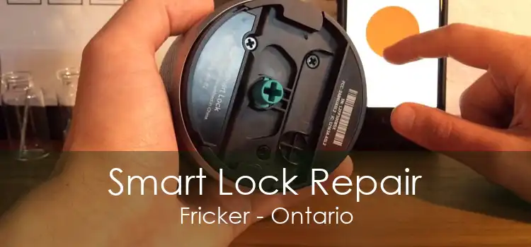 Smart Lock Repair Fricker - Ontario