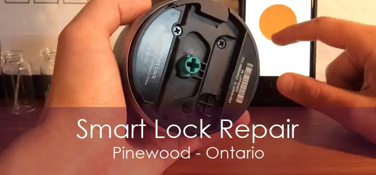 Smart Lock Repair Pinewood - Ontario