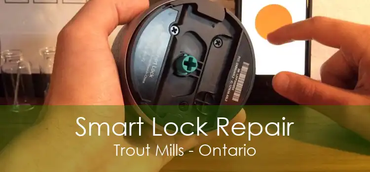 Smart Lock Repair Trout Mills - Ontario