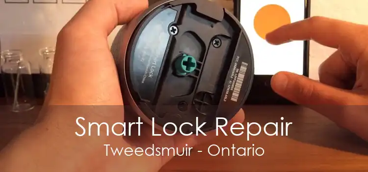 Smart Lock Repair Tweedsmuir - Ontario